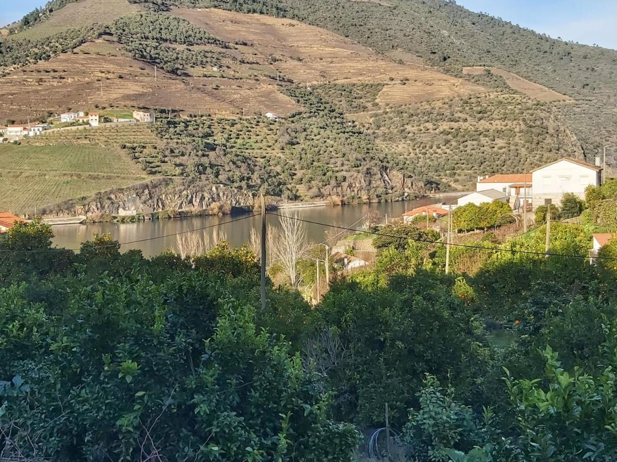 Villa Casa Da Padaria à Folgosa  Extérieur photo